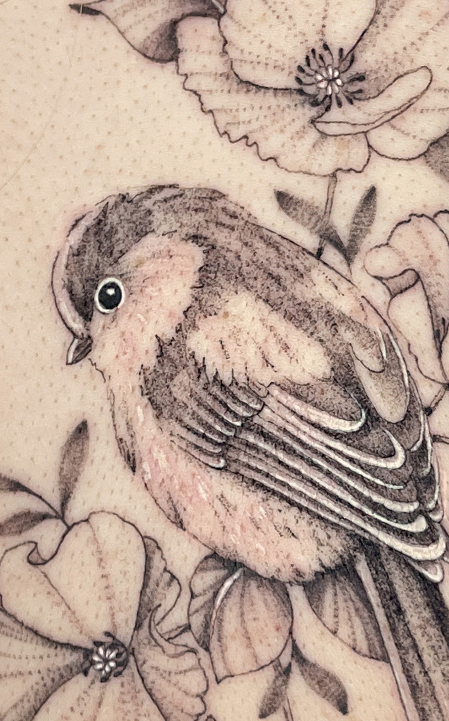 pajaro2