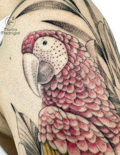 Tatouage perroquet homme