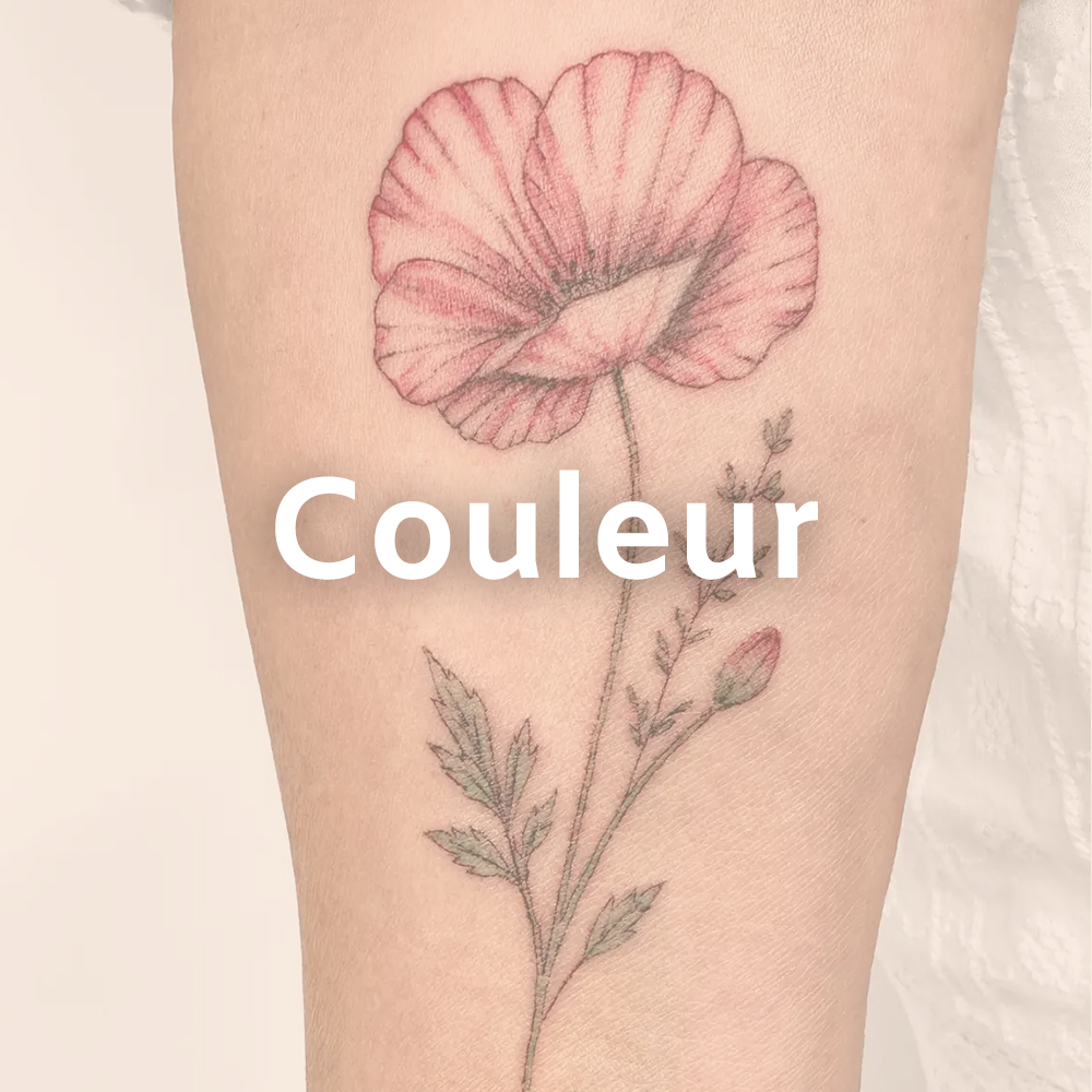 Couleur