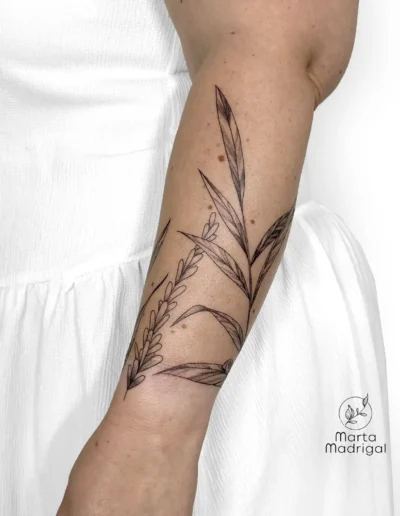 Tatouage branche d'olivier en couverture de cicatrice sur l'avant-bras, a Toulouse