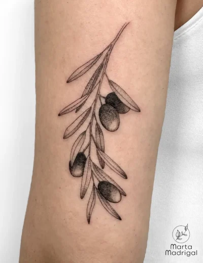 Tatouage d'une branche d'olivier sur le triceps, a Toulouse