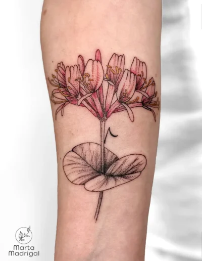 Tatouage de chevrefeuille en couleur sur l'avant-bras, a Toulouse