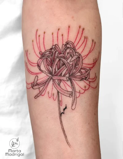 Tatouage d'une fleur araignee (lycoris) rouge et rose sur l'avant-bras, a Toulouse